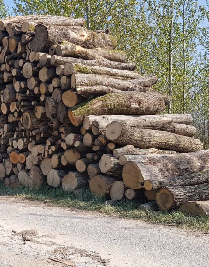 Vente et livraison de bois de chauffage